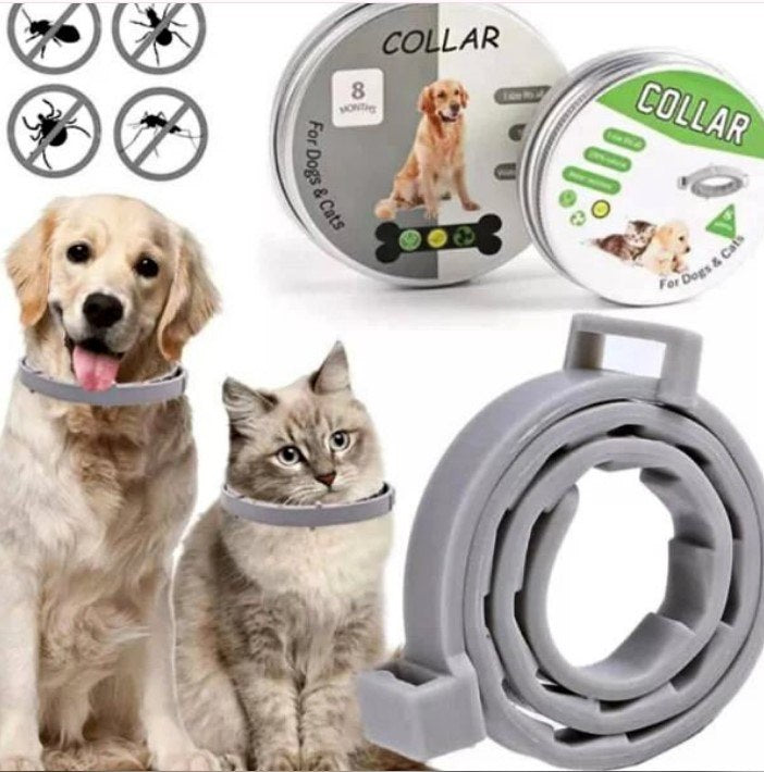 Mascotas Collar Protector Antipulgas para Mascotas de Tendeli- Ecuador en